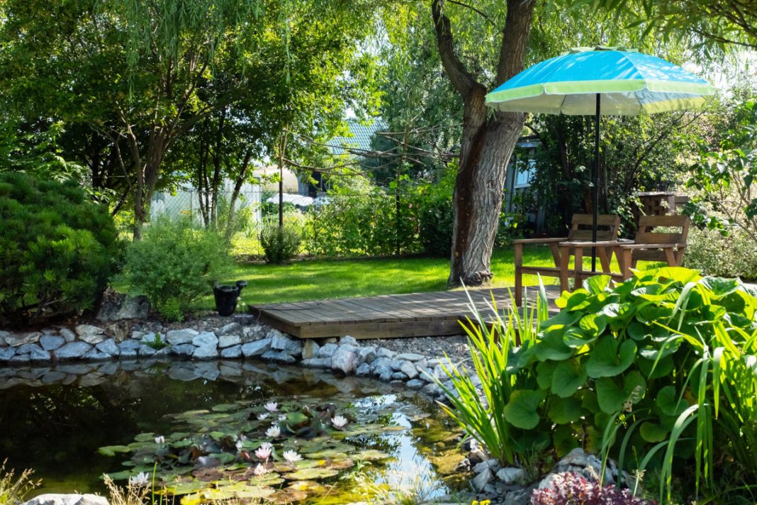 Come abbellire un giardino